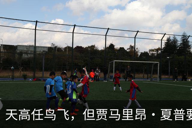 天高任鸟飞，但贾马里昂·夏普要说再见了！